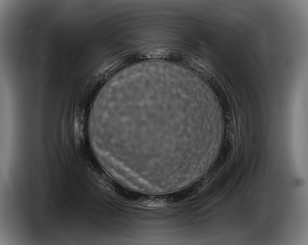 X0000086310604200704202004