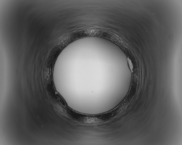 X0000086310605200704202004