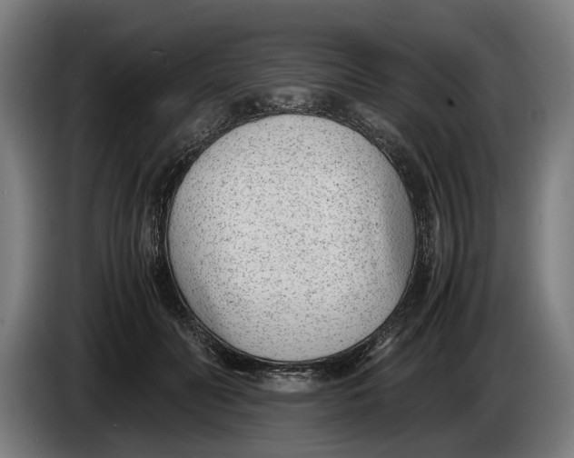 X0000086310606200704202004