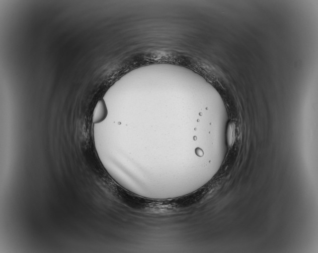 X0000086310607200704202004