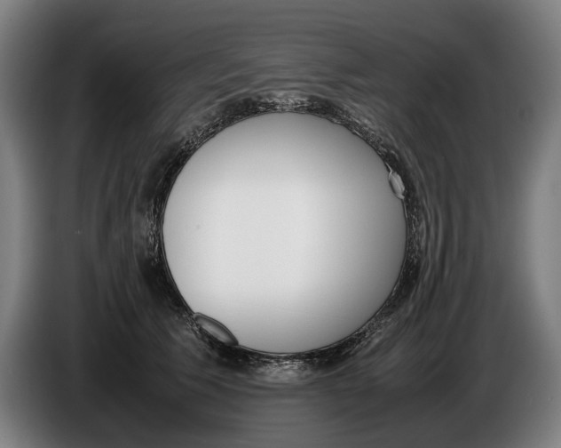 X0000086310609200704202004