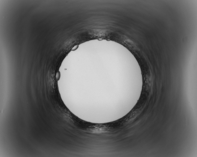 X0000086310612200704202004