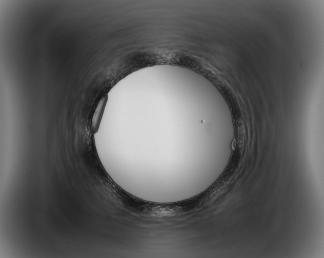 X0000086310613200704202003