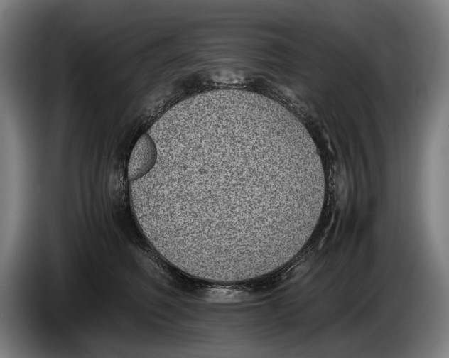 X0000086310614200704202003