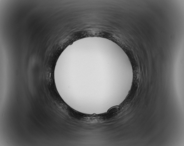 X0000086310615200704202003