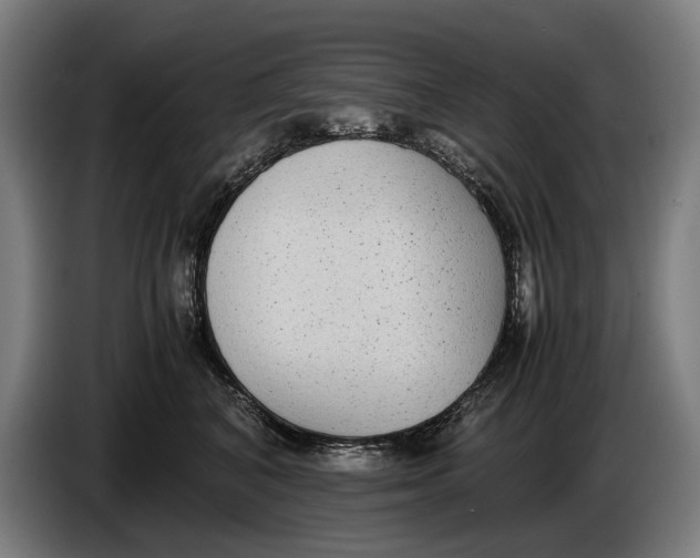 X0000086310616200704202003