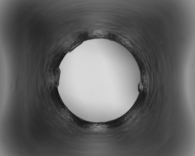 X0000086310617200704202003