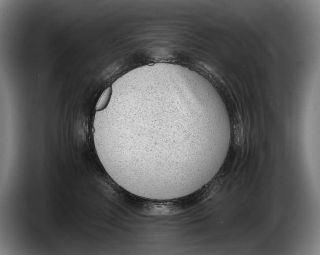 X0000086310618200704202003