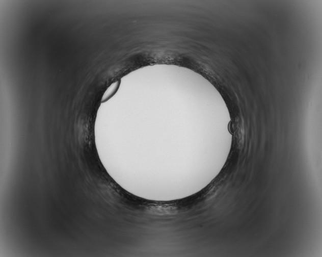 X0000086310619200704202003