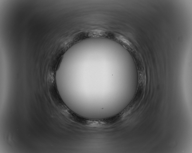 X0000086310621200704202003