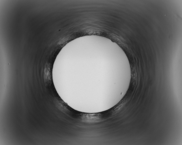 X0000086310622200704202003