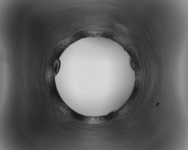 X0000086310623200704202003