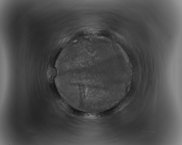 X0000086310624200704202003