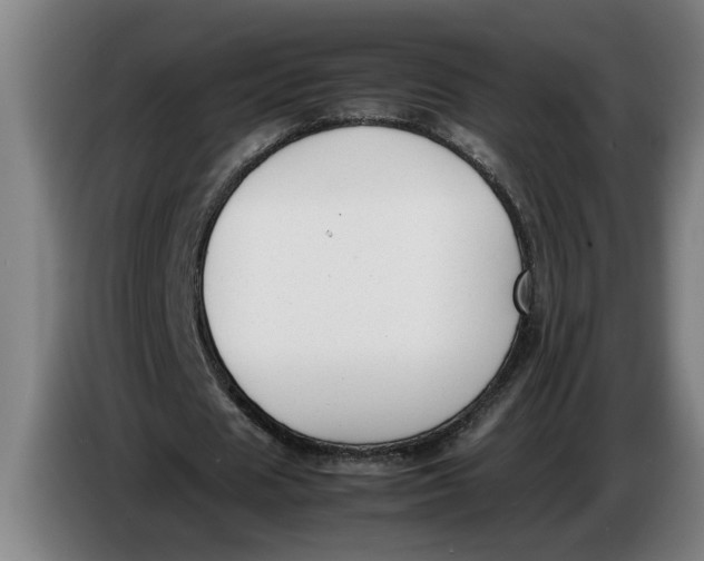 X0000086310625200704202003