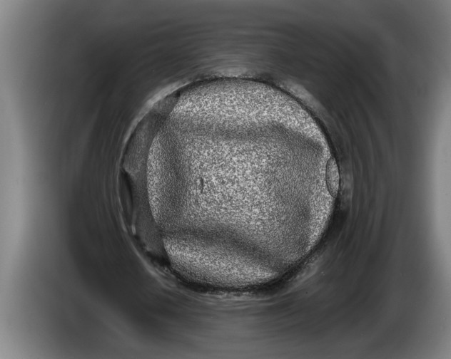 X0000086310626200704202003