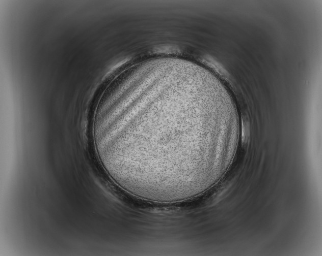 X0000086310627200704202003