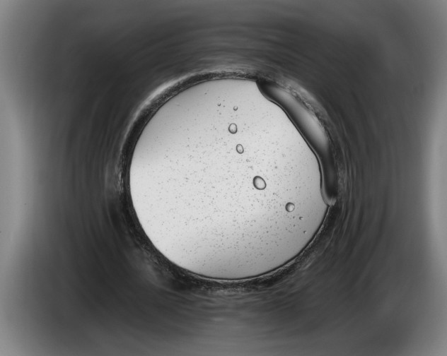 X0000086310628200704202003