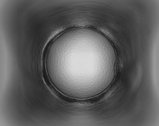 X0000086310630200704202003