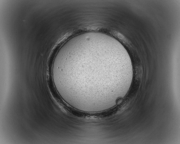 X0000086310634200704202003