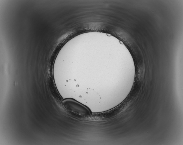 X0000086310636200704202003