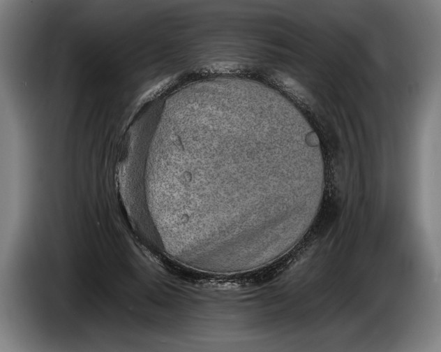 X0000086310640200704202003