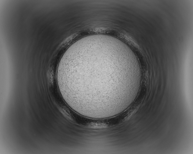 X0000086310644200704202003