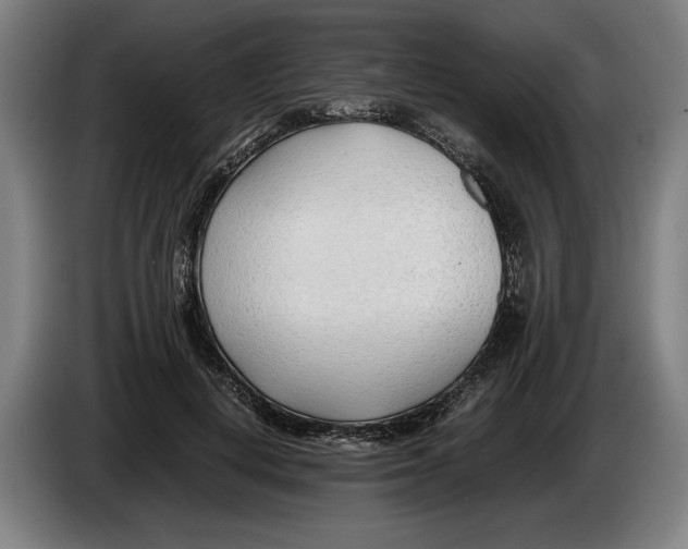 X0000086310648200704202003