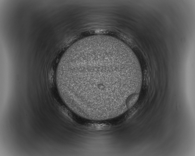 X0000086310650200704202003