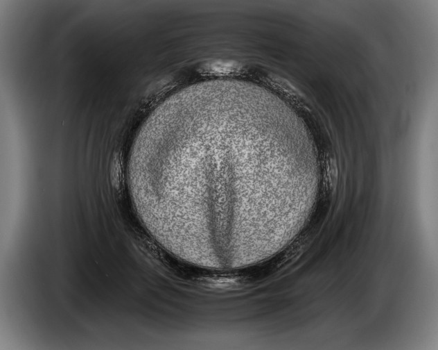 X0000086310651200704202003