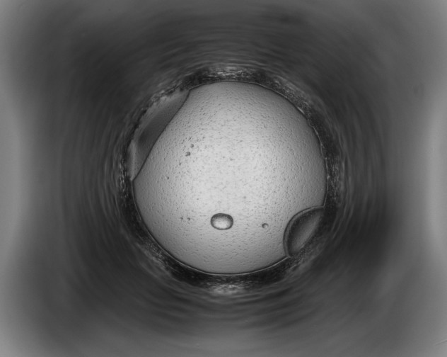 X0000086310653200704202003