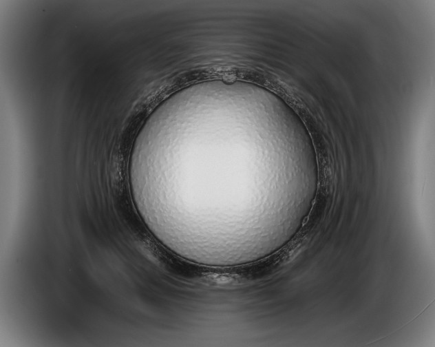 X0000086310654200704202003