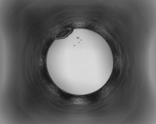 X0000086310655200704202003