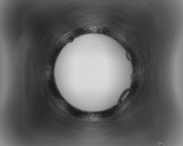 X0000086310656200704202003