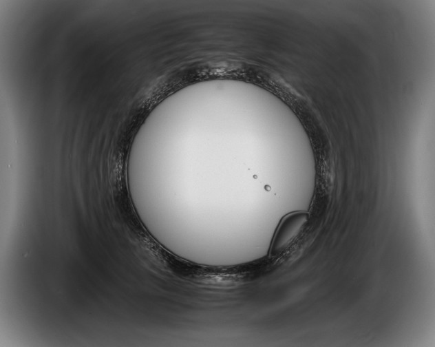 X0000086310657200704202003