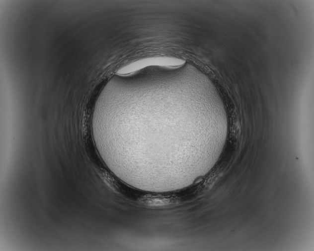 X0000086310658200704202003