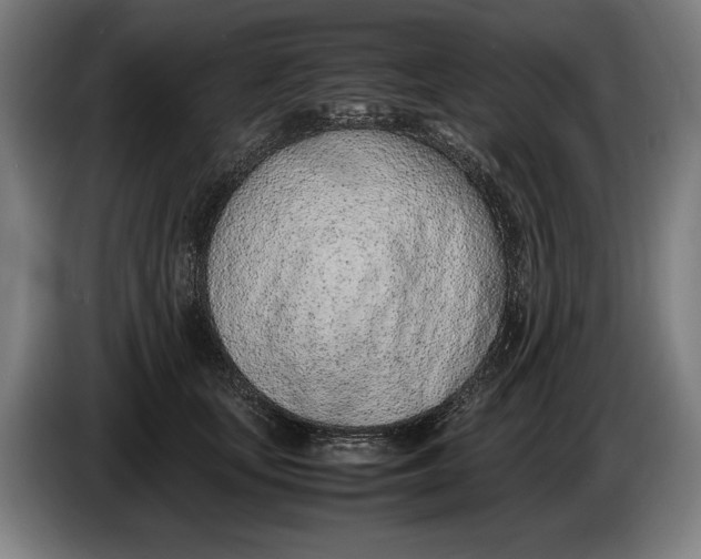 X0000086310659200704202003