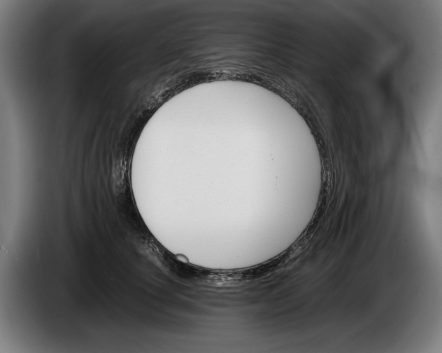 X0000086310660200704202003