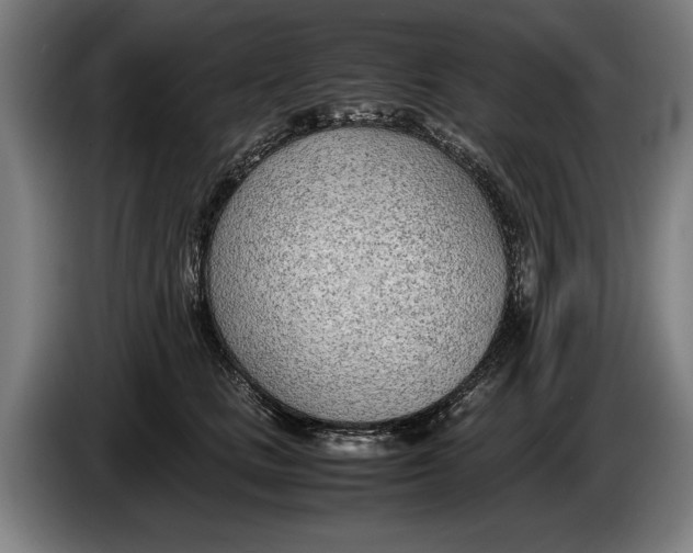 X0000086310661200704202003