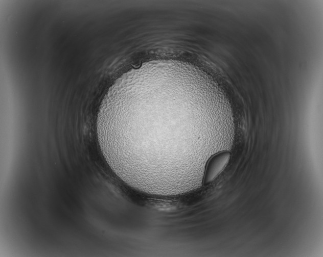 X0000086310663200704202003