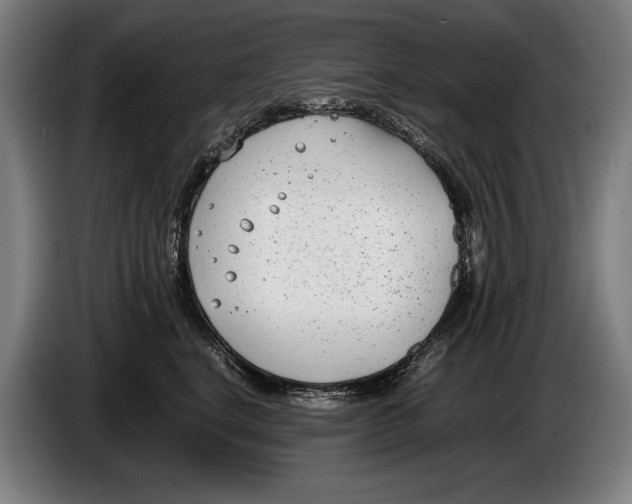 X0000086310664200704202003