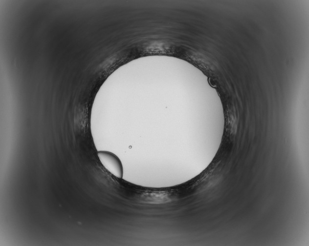 X0000086310665200704202003