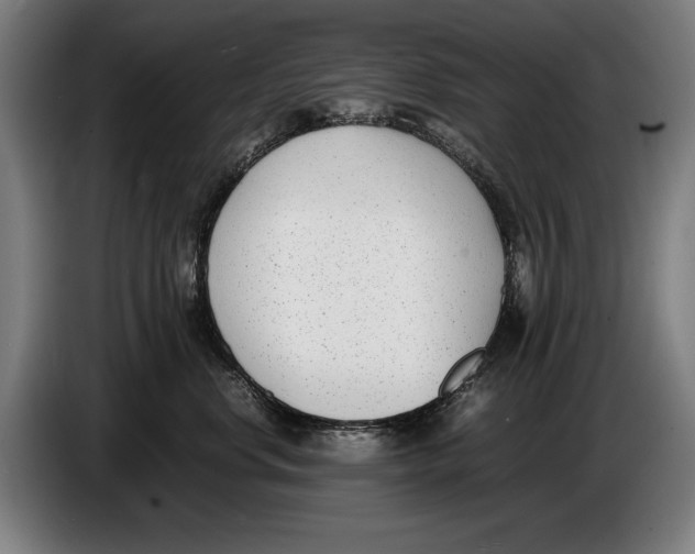 X0000086310668200704202003