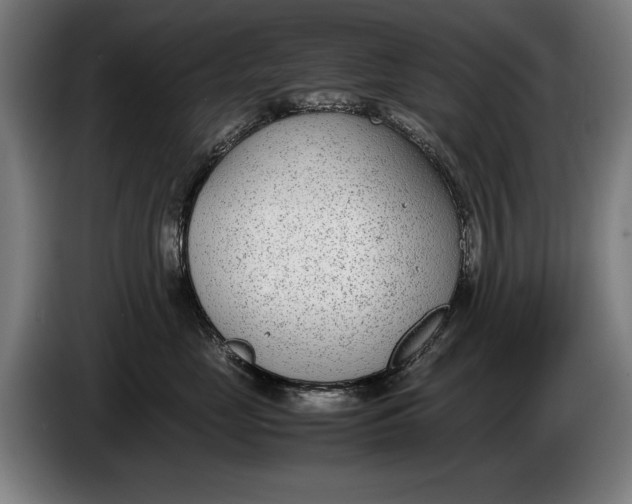 X0000086310669200704202003