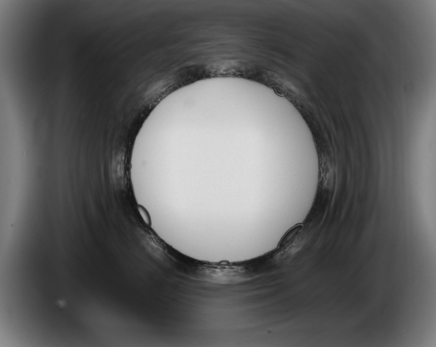 X0000086310670200704202003