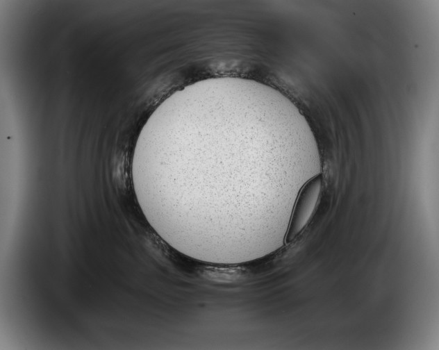 X0000086310671200704202003