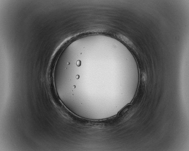 X0000086310676200704202003