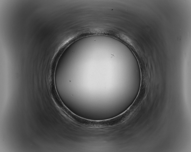 X0000086310677200704202003