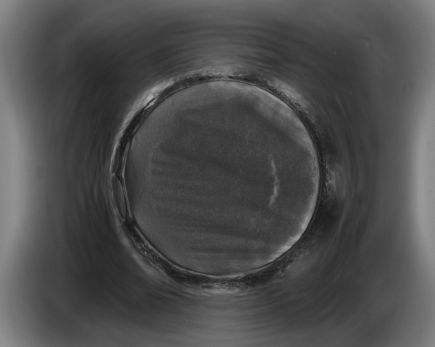 X0000086310678200704202003