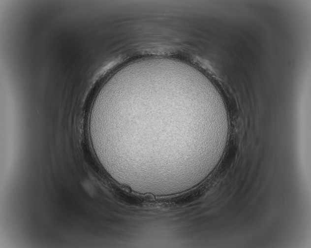 X0000086310679200704202003