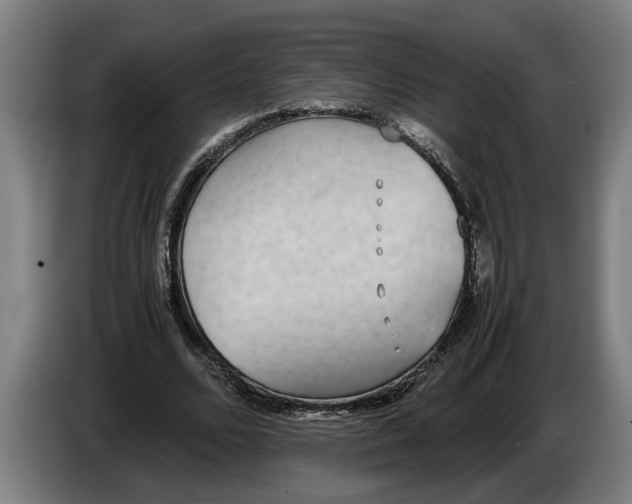 X0000086310680200704202003